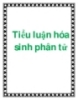 Tiểu luận hóa sinh phân tử