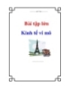 Bài tập lớn: Kinh tế vi mô
