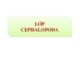 Bài giảng Cổ sinh vật học - Chương 8C: Lớp Cephalopoda
